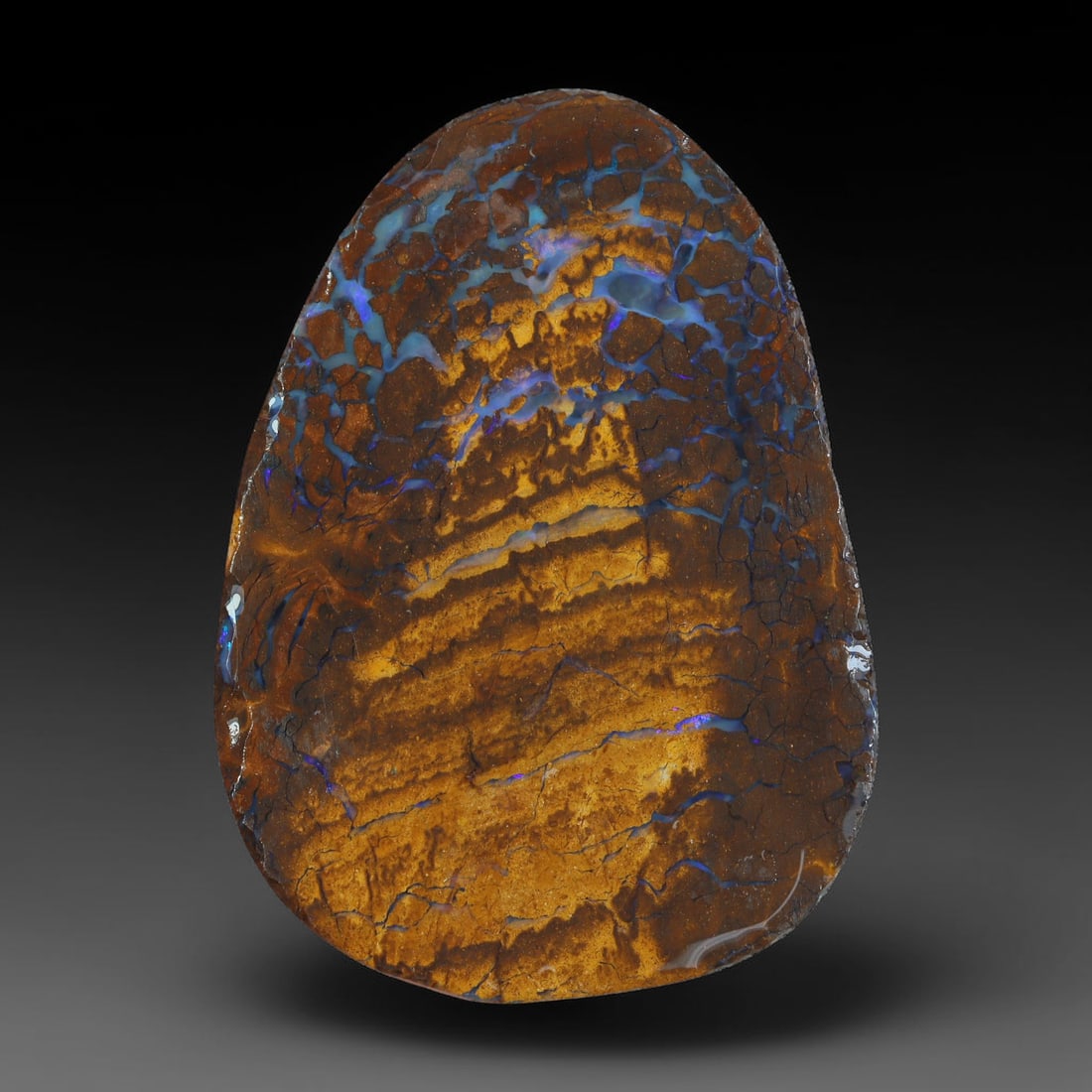 52.23ct Natural Australian Queensland Boulder Opal Sliced Slab Cutting Rough, 90AX: Natural sliced slab rough of Queensland boulder opal cutting grade, featuring rich color ironstone matrix with patterns. The face clearly reveals extensive opal veining and pocket formations running t