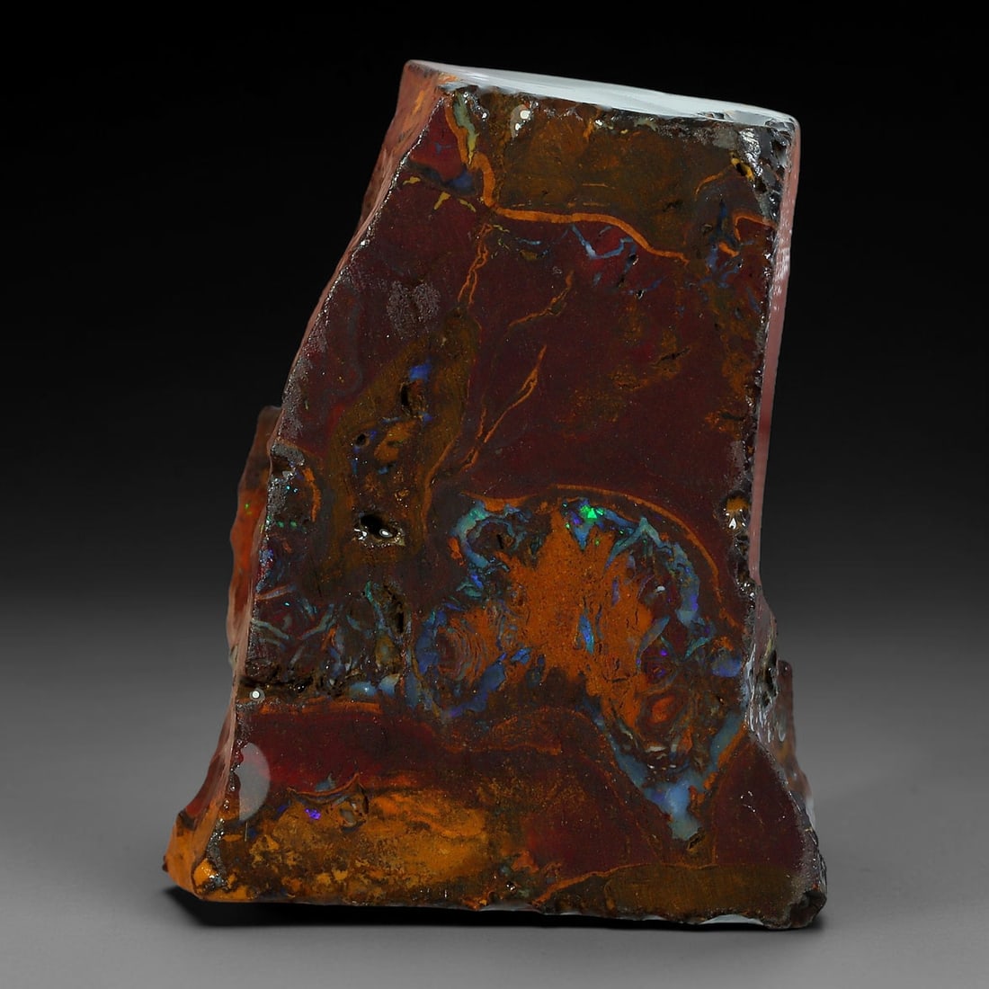 63.45ct Natural Australian Queensland Boulder Opal Sliced Slab Cutting Rough, 83AY: Natural sliced slab rough of Queensland boulder opal cutting grade, featuring rich color ironstone matrix with patterns. The face clearly reveals extensive opal veining and pocket formations running t