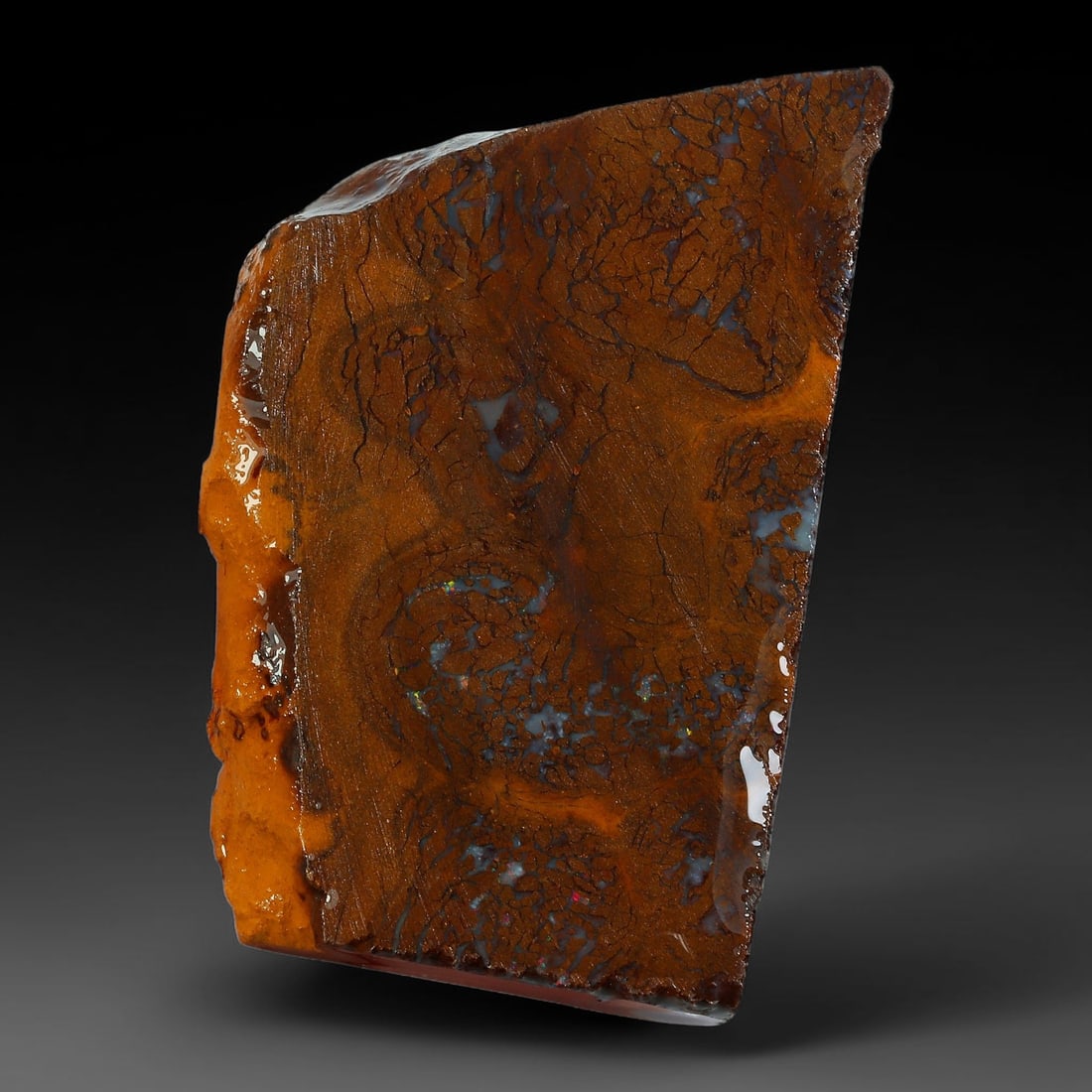 47.77ct Natural Australian Queensland Boulder Opal Sliced Slab Cutting Rough, 88AY: Natural sliced slab rough of Queensland boulder opal cutting grade, featuring rich color ironstone matrix with patterns. The face clearly reveals extensive opal veining and pocket formations running t
