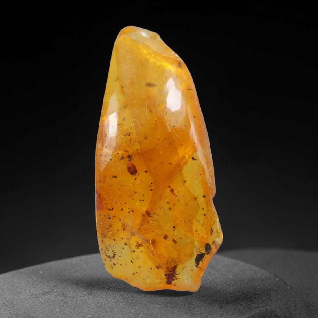 16.93ct Natural Baltic Polished Loose Freeform Amber Gemstone, 56AT: This smoothly polished freeform amber piece carries warm translucent organic clarity with fine natural fossil flecks and tiny mineral inclusions suspended throughout its 38x17mm flowing unstructured s