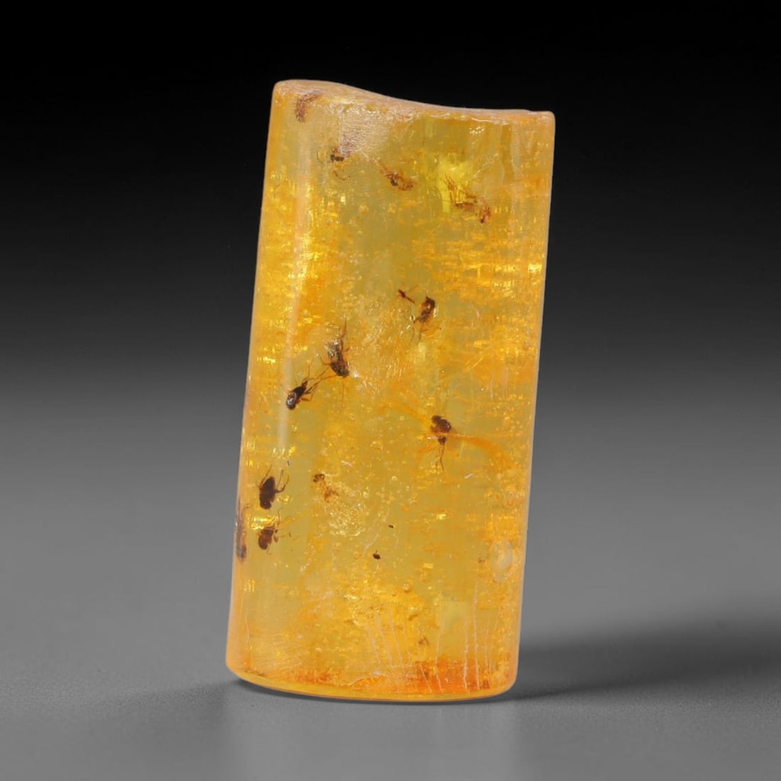 14.71ct Natural Baltic Polished Loose Freeform Amber Gemstone, 79AT: This smoothly polished freeform amber piece carries warm translucent organic clarity with fine natural fossil flecks and tiny mineral inclusions suspended throughout its 25x12mm flowing unstructured s