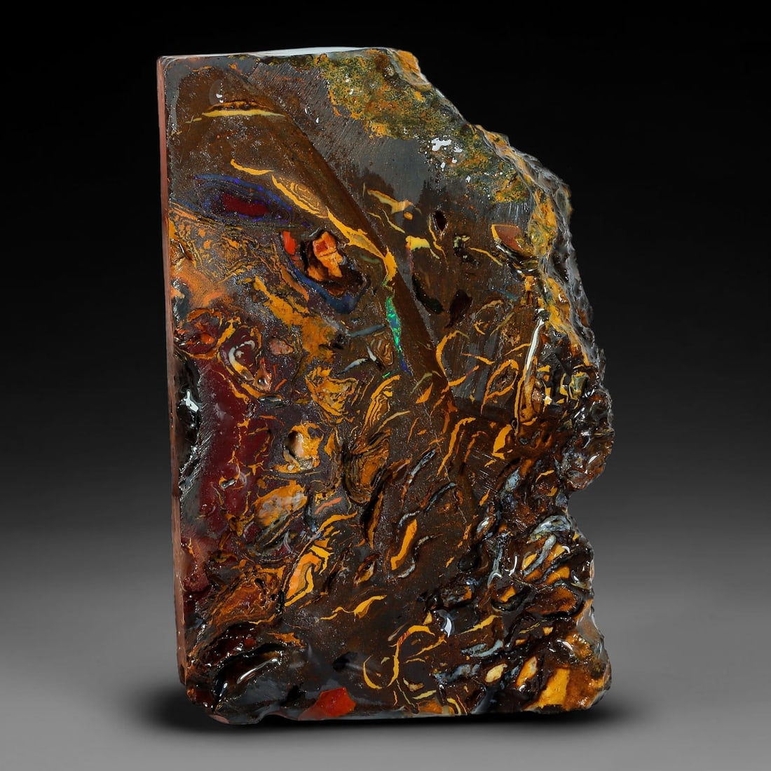 69.91ct Natural Australian Queensland Boulder Opal Sliced Slab Cutting Rough, 92AY: Natural sliced slab rough of Queensland boulder opal cutting grade, featuring rich color ironstone matrix with patterns. The face clearly reveals extensive opal veining and pocket formations running t