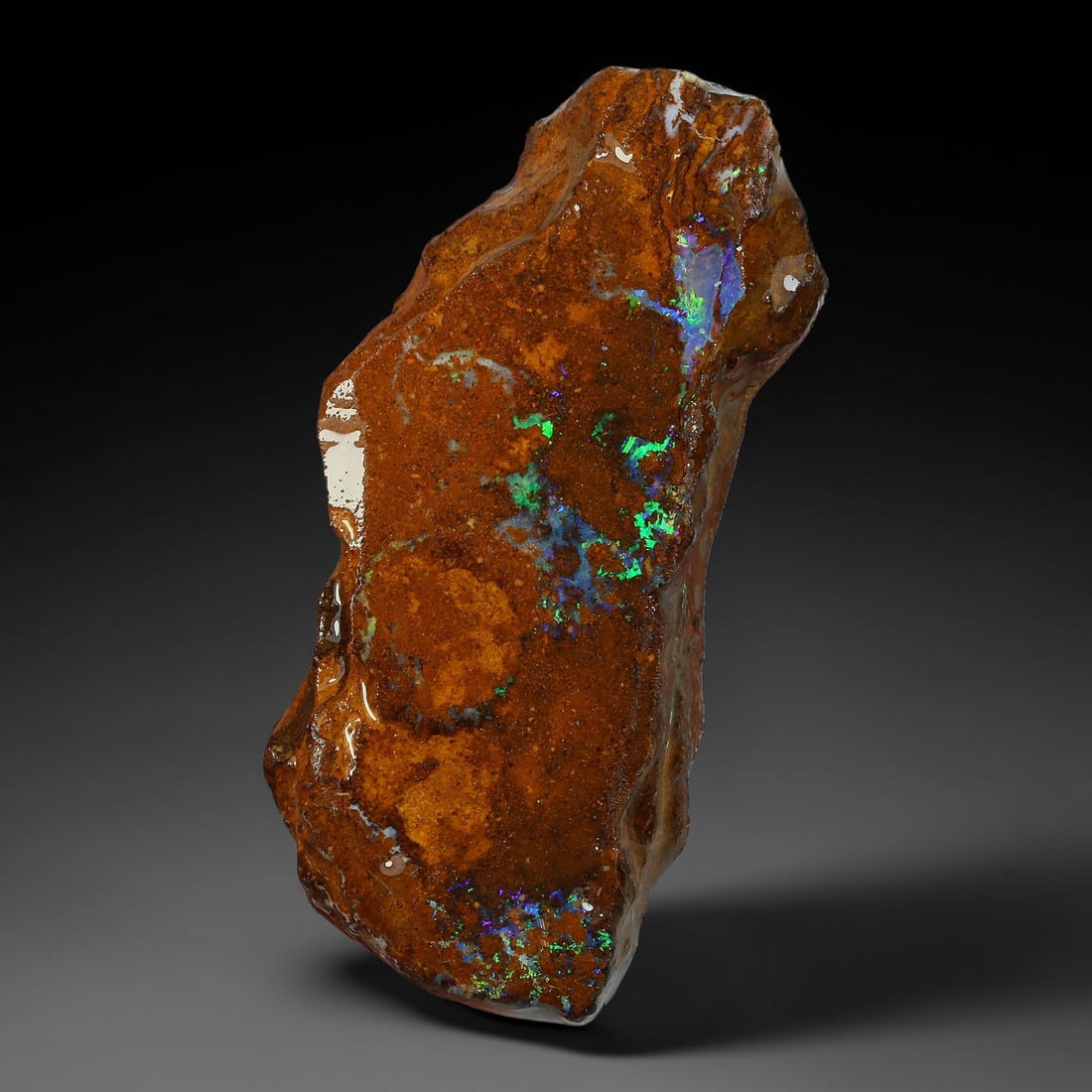 27.68ct Natural Australian Queensland Boulder Opal Sliced Slab Cutting Rough, 84AY: Natural sliced slab rough of Queensland boulder opal cutting grade, featuring rich color ironstone matrix with patterns. The face clearly reveals extensive opal veining and pocket formations running t