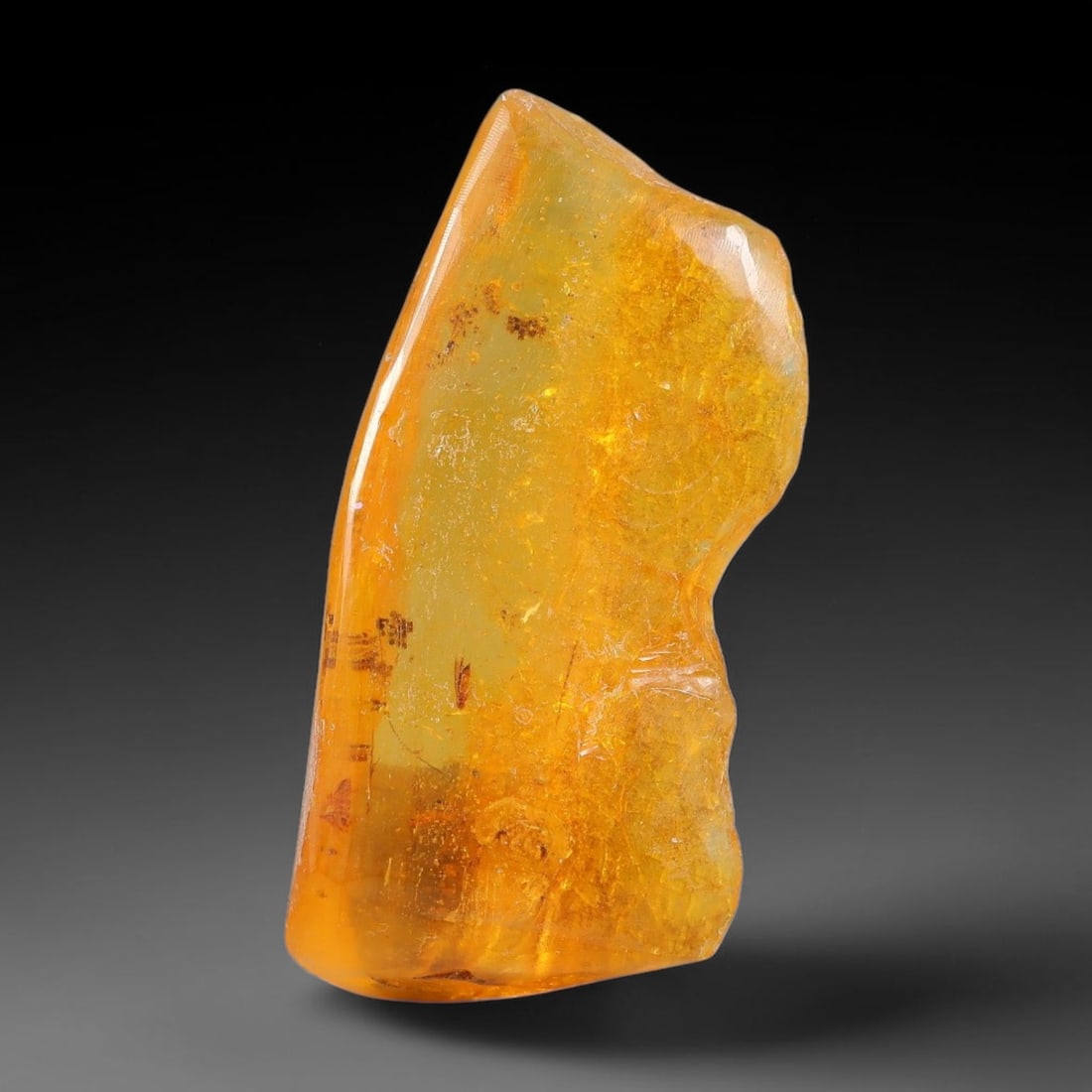 10.72ct Natural Baltic Polished Loose Freeform Amber Gemstone, 27EB: This smoothly polished freeform amber piece carries warm translucent organic clarity with fine natural fossil flecks and tiny mineral inclusions suspended throughout its 31x15mm flowing unstructured s