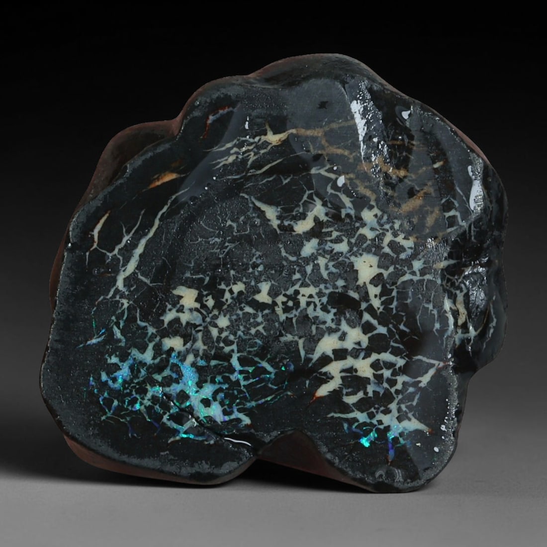 12.85ct Natural Australian Queensland Boulder Opal Sliced Slab Cutting Rough, 75AY, 75AY: Natural sliced slab rough of Queensland boulder opal cutting grade, featuring rich color ironstone matrix with patterns. The face clearly reveals extensive opal veining and pocket formations running t