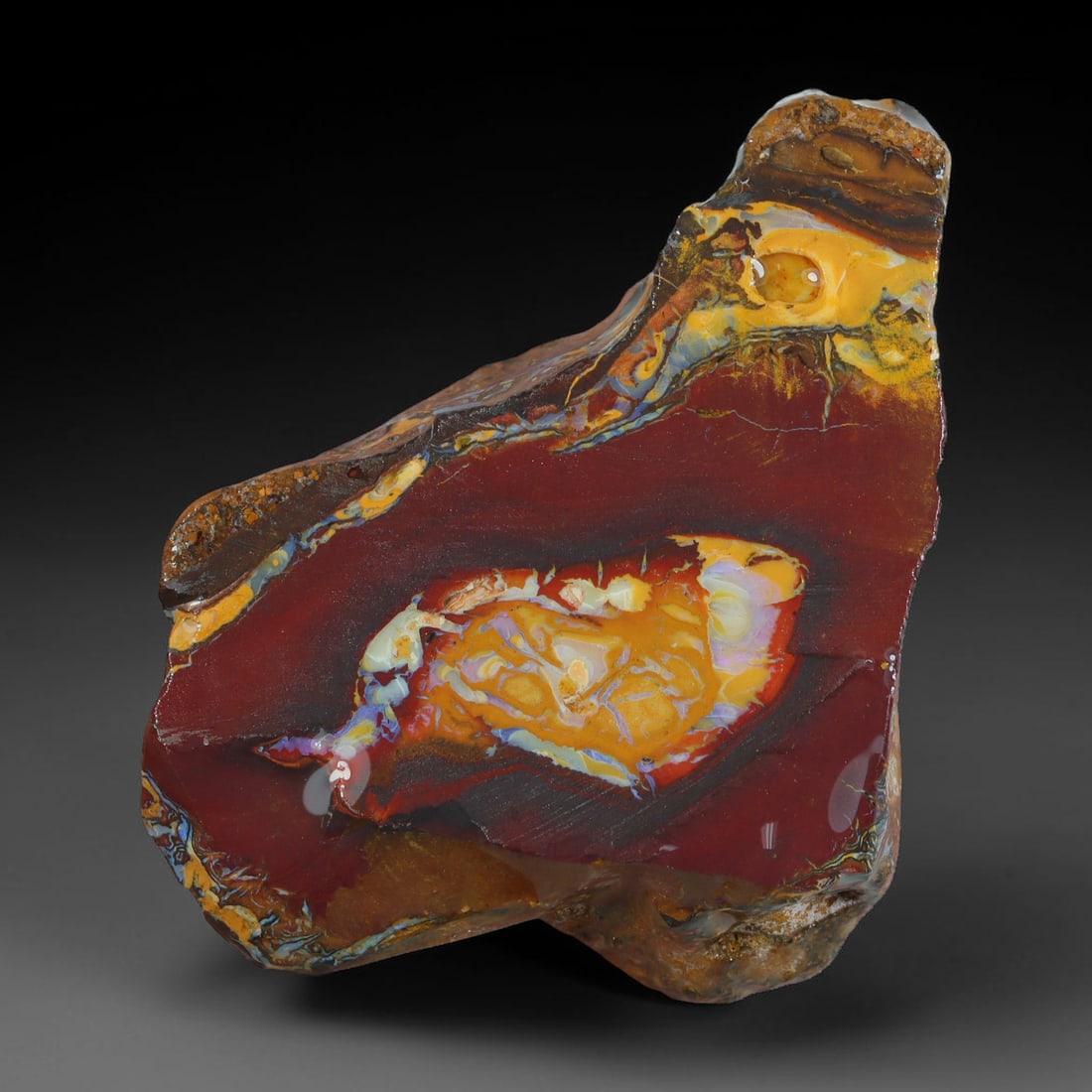69.23ct Natural Australian Queensland Boulder Opal Sliced Slab Cutting Rough, 86AX, 86AX: Natural sliced slab rough of Queensland boulder opal cutting grade, featuring rich color ironstone matrix with patterns. The face clearly reveals extensive opal veining and pocket formations running t