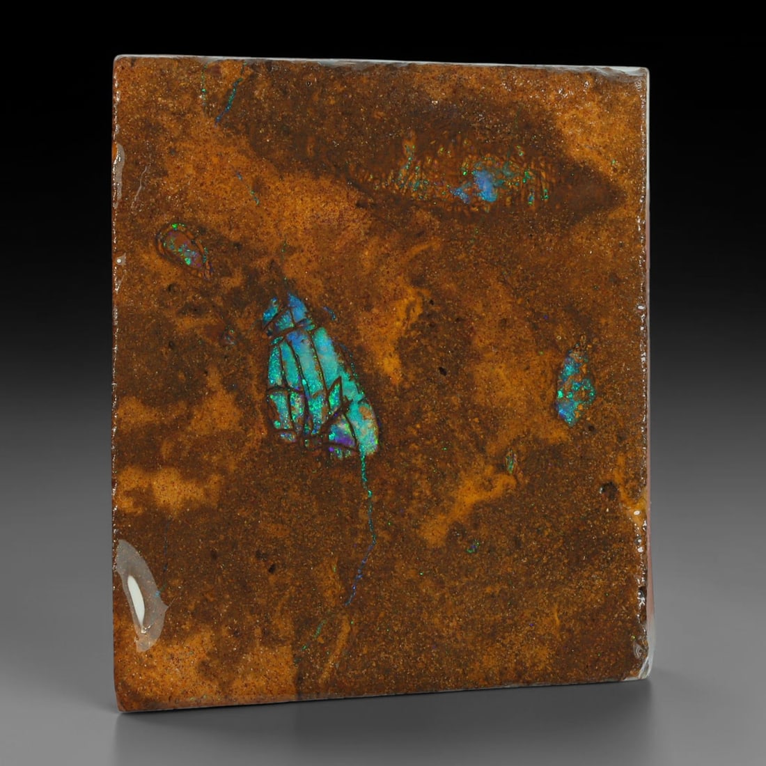 49.60ct Natural Australian Queensland Boulder Opal Sliced Slab Cutting Rough, 50AY, 50AY: Natural sliced slab rough of Queensland boulder opal cutting grade, featuring rich color ironstone matrix with patterns. The face clearly reveals extensive opal veining and pocket formations running t