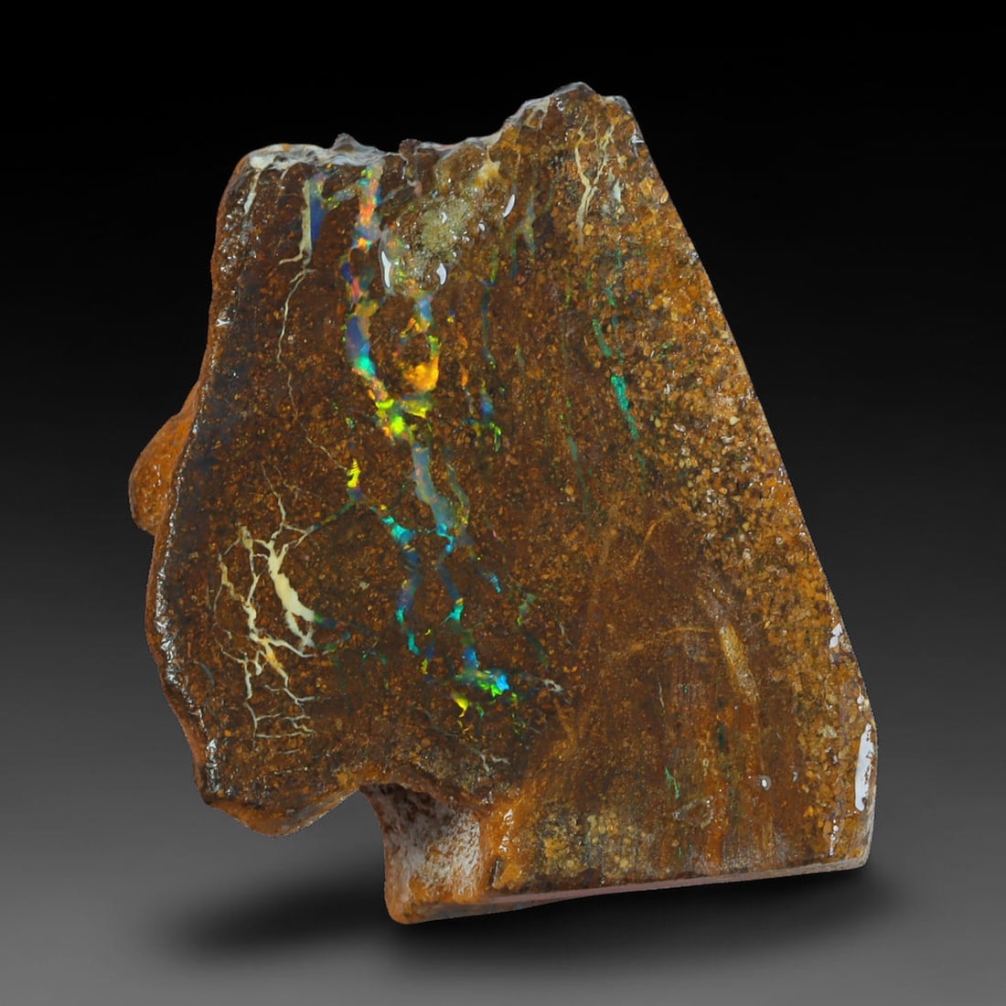 37.84ct Natural Australian Queensland Boulder Opal Sliced Slab Cutting Rough, 69AX: Natural sliced slab rough of Queensland boulder opal cutting grade, featuring rich color ironstone matrix with patterns. The face clearly reveals extensive opal veining and pocket formations running t