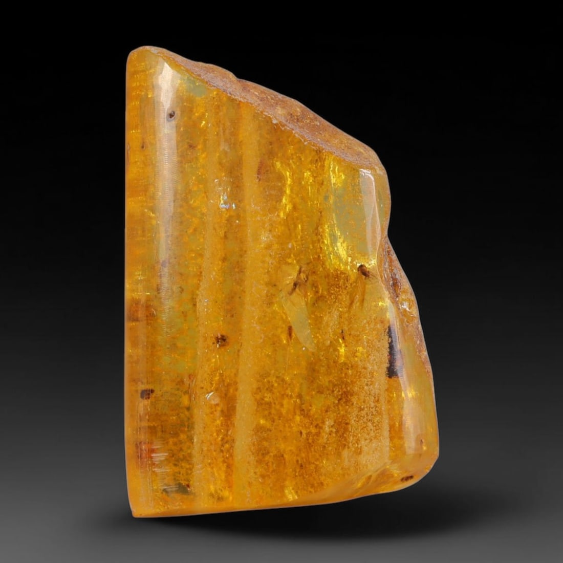 15.40ct Natural Baltic Polished Loose Freeform Amber Gemstone, 20AT: This smoothly polished freeform amber piece carries warm translucent organic clarity with fine natural fossil flecks and tiny mineral inclusions suspended throughout its 29x20mm flowing unstructured s