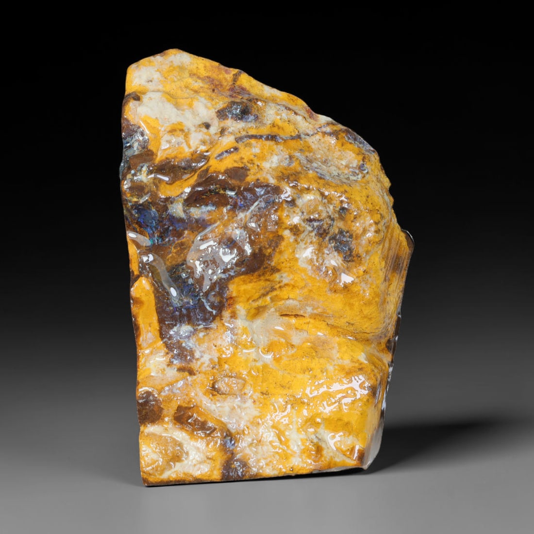 97.20ct Natural Australian Queensland Boulder Opal Sliced Slab Cutting Rough, 38AX: Natural sliced slab rough of Queensland boulder opal cutting grade, featuring rich color ironstone matrix with patterns. The face clearly reveals extensive opal veining and pocket formations running t