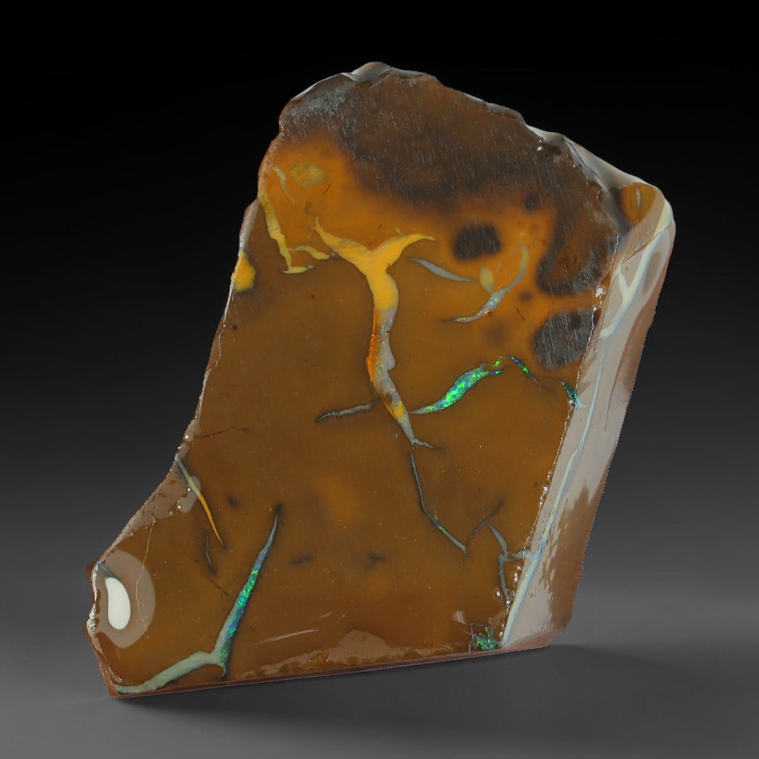 38.50ct Natural Australian Queensland Boulder Opal Sliced Slab Cutting Rough, 60AX: Natural sliced slab rough of Queensland boulder opal cutting grade, featuring rich color ironstone matrix with patterns. The face clearly reveals extensive opal veining and pocket formations running t