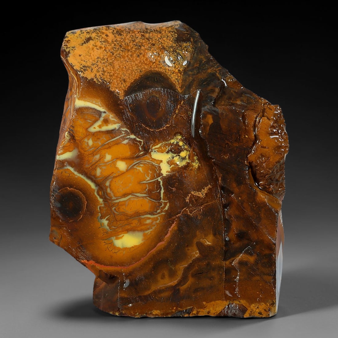 43.11ct Natural Australian Queensland Boulder Opal Sliced Slab Cutting Rough, 85AY: Natural sliced slab rough of Queensland boulder opal cutting grade, featuring rich color ironstone matrix with patterns. The face clearly reveals extensive opal veining and pocket formations running t