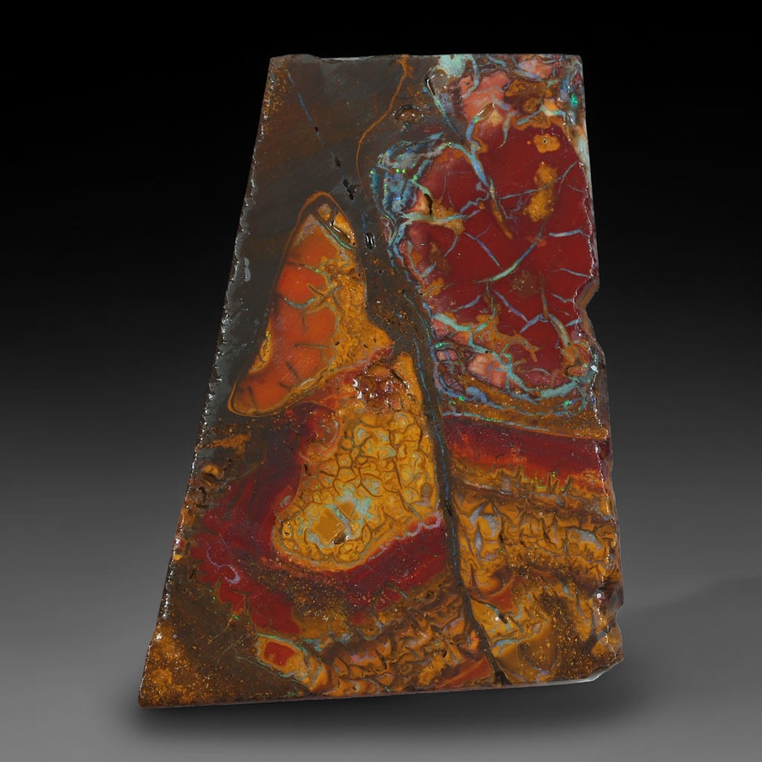 22.04ct Natural Australian Queensland Boulder Opal Sliced Slab Cutting Rough, 33AY (1 of 2)