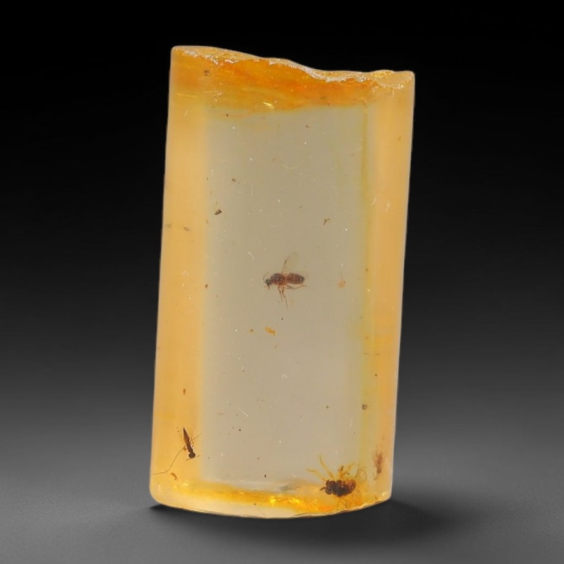 7.55ct Natural Baltic Polished Loose Freeform Amber Gemstone, 88FL: This smoothly polished freeform amber piece carries warm translucent organic clarity with fine natural fossil flecks and tiny mineral inclusions suspended throughout its 20x10x9mm flowing unstructured