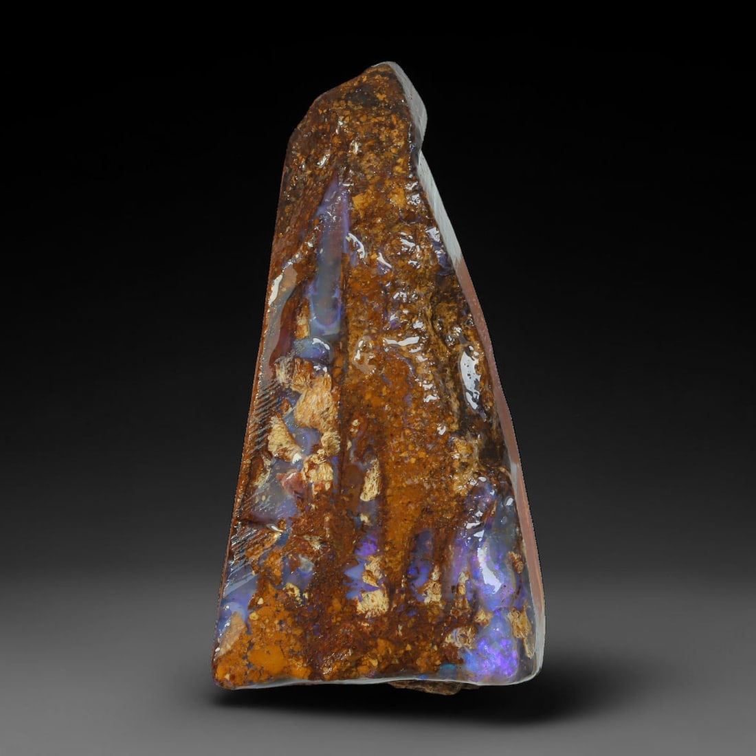 36.82ct Natural Australian Queensland Boulder Opal Sliced Slab Cutting Rough, 72AX: Natural sliced slab rough of Queensland boulder opal cutting grade, featuring rich color ironstone matrix with patterns. The face clearly reveals extensive opal veining and pocket formations running t