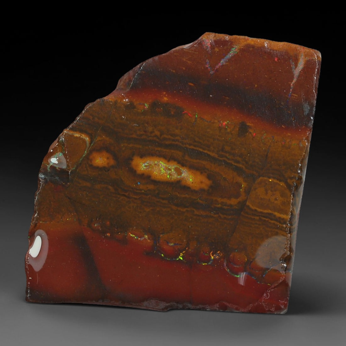 36.54ct Natural Australian Queensland Boulder Opal Sliced Slab Cutting Rough, 61AY (1 of 2)