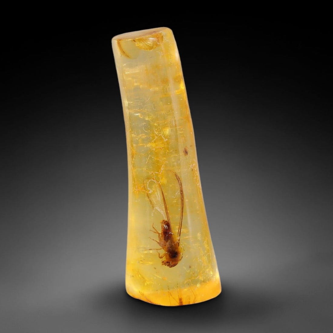 8.98ct Natural Baltic Polished Loose Freeform Amber Gemstone, 78FL: This smoothly polished freeform amber piece carries warm translucent organic clarity with fine natural fossil flecks and tiny mineral inclusions suspended throughout its 32x11x8mm flowing unstructured