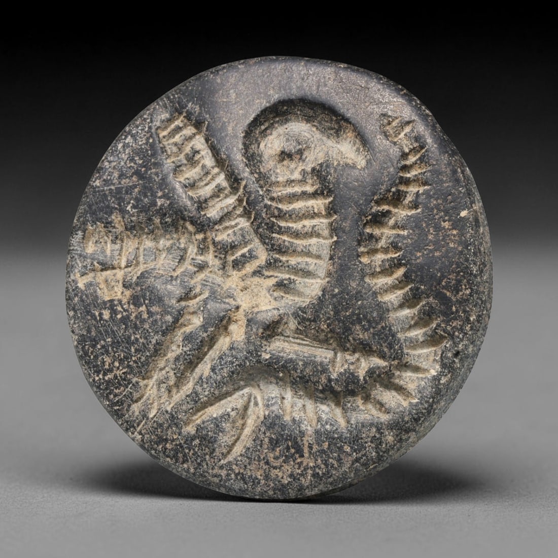 Ancient Sogdian Double Convex Intaglio Bead (500 BCE-800 CE), 70ED: This dark stone double convex intaglio bead originates from the Sogdian Culture, the famed merchant civilization that dominated Silk Road exchange across Central Asia. Each convex face bears distinct 