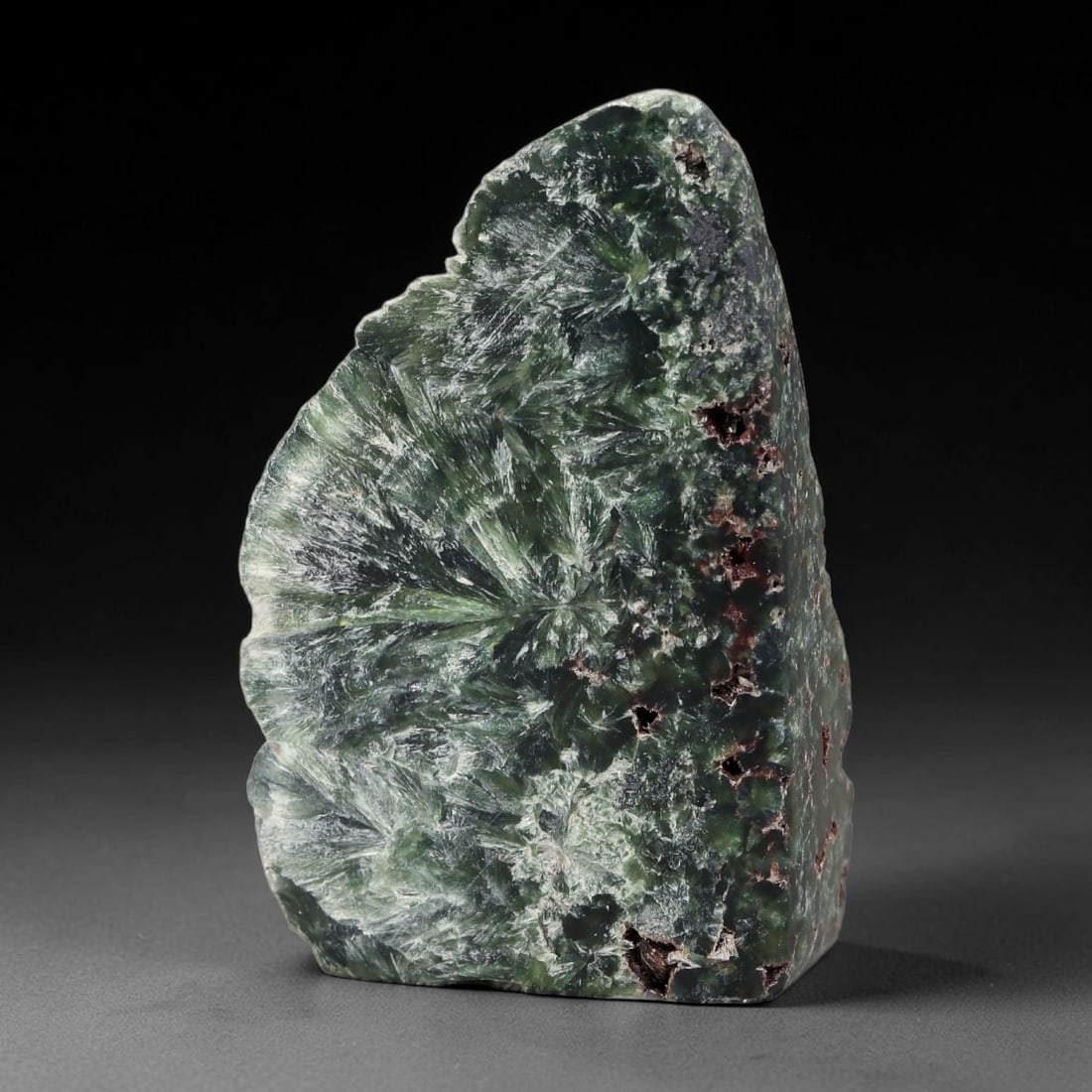 90ct Natural Siberian Seraphinite Polished Rough Slab, 47AR: This polished mineral slab is natural seraphinite originating from Siberian deposits, displaying characteristic radiating crystalline fibrous formations with layered deep forest and silvery green band