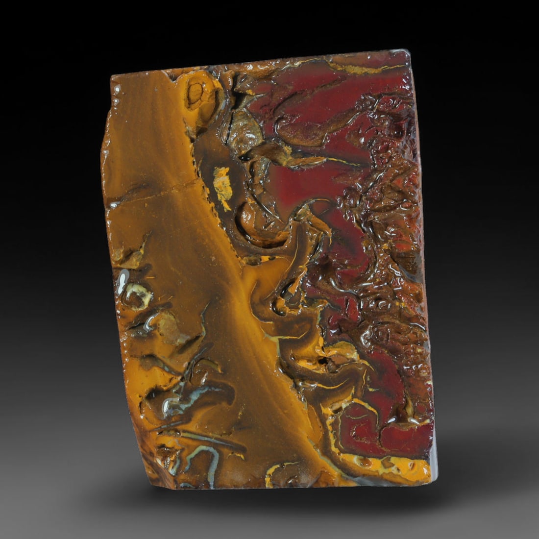57.51ct Natural Australian Queensland Boulder Opal Sliced Slab Cutting Rough, 15AX: Natural sliced slab rough of Queensland boulder opal cutting grade, featuring rich color ironstone matrix with patterns. The face clearly reveals extensive opal veining and pocket formations running t