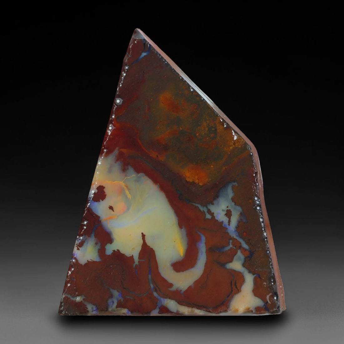 39.18ct Natural Australian Queensland Boulder Opal Sliced Slab Cutting Rough, 26AX: Natural sliced slab rough of Queensland boulder opal cutting grade, featuring rich color ironstone matrix with patterns. The face clearly reveals extensive opal veining and pocket formations running t