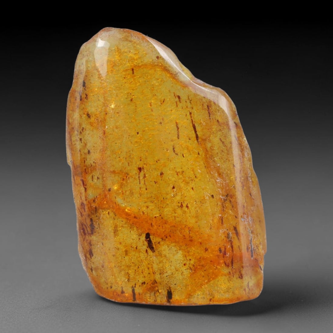 15.43ct Natural Baltic Polished Loose Freeform Amber Gemstone, 78AT: This smoothly polished freeform amber piece carries warm translucent organic clarity with fine natural fossil flecks and tiny mineral inclusions suspended throughout its 34x22mm flowing unstructured s