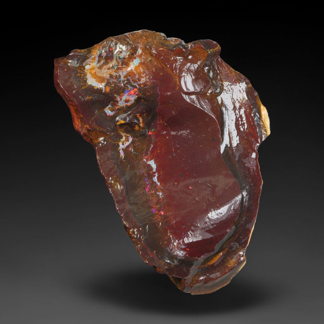 65.46ct Natural Australian Queensland Boulder Opal Sliced Slab Cutting Rough, 94AV: Natural sliced slab rough of Queensland boulder opal cutting grade, featuring rich color ironstone matrix with patterns. The face clearly reveals extensive opal veining and pocket formations running t