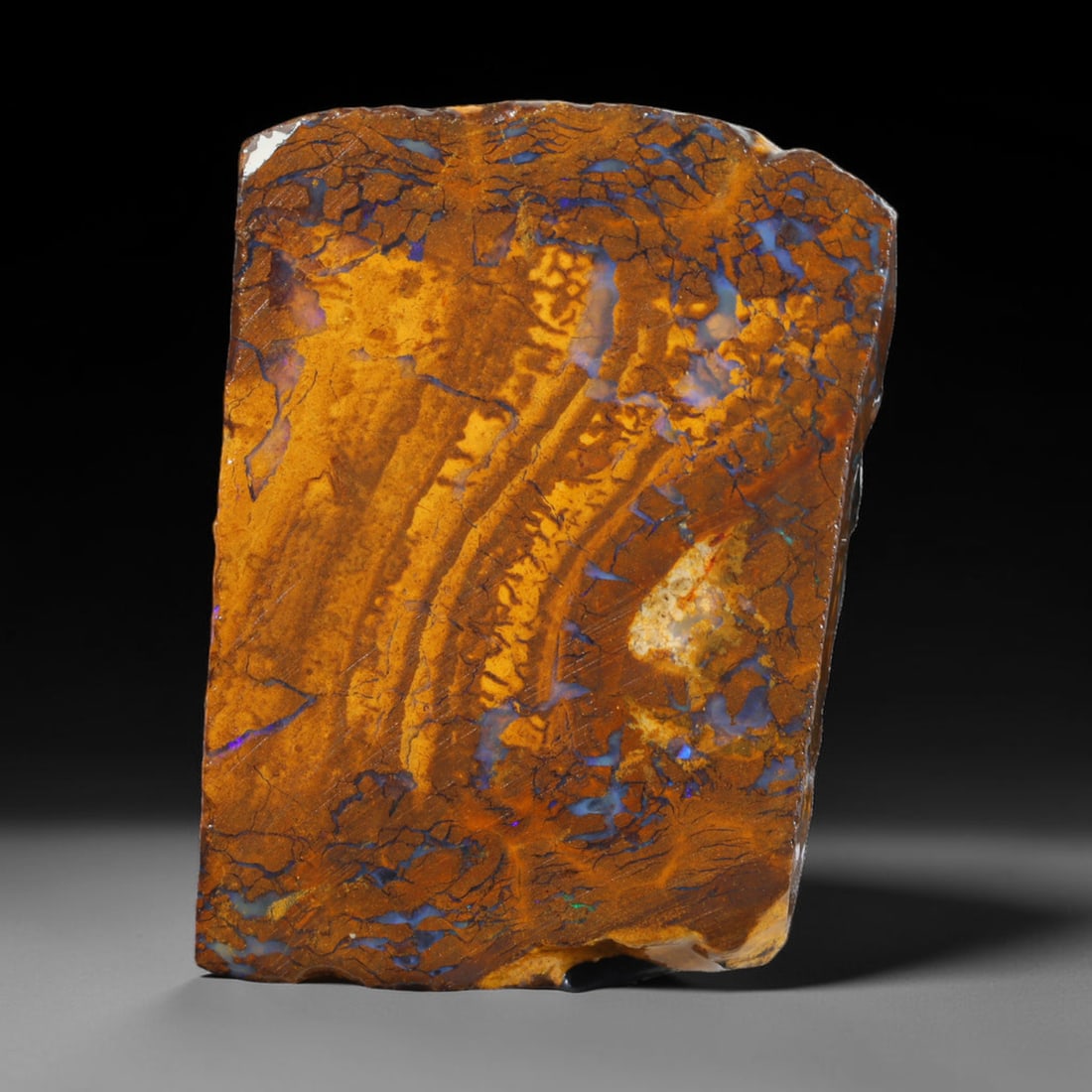 44.72ct Natural Australian Queensland Boulder Opal Sliced Slab Cutting Rough, 52AX: Natural sliced slab rough of Queensland boulder opal cutting grade, featuring rich color ironstone matrix with patterns. The face clearly reveals extensive opal veining and pocket formations running t
