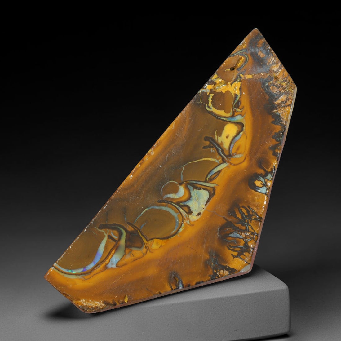66.23ct Natural Australian Queensland Boulder Opal Sliced Slab Cutting Rough, 77AX: Natural sliced slab rough of Queensland boulder opal cutting grade, featuring rich color ironstone matrix with patterns. The face clearly reveals extensive opal veining and pocket formations running t