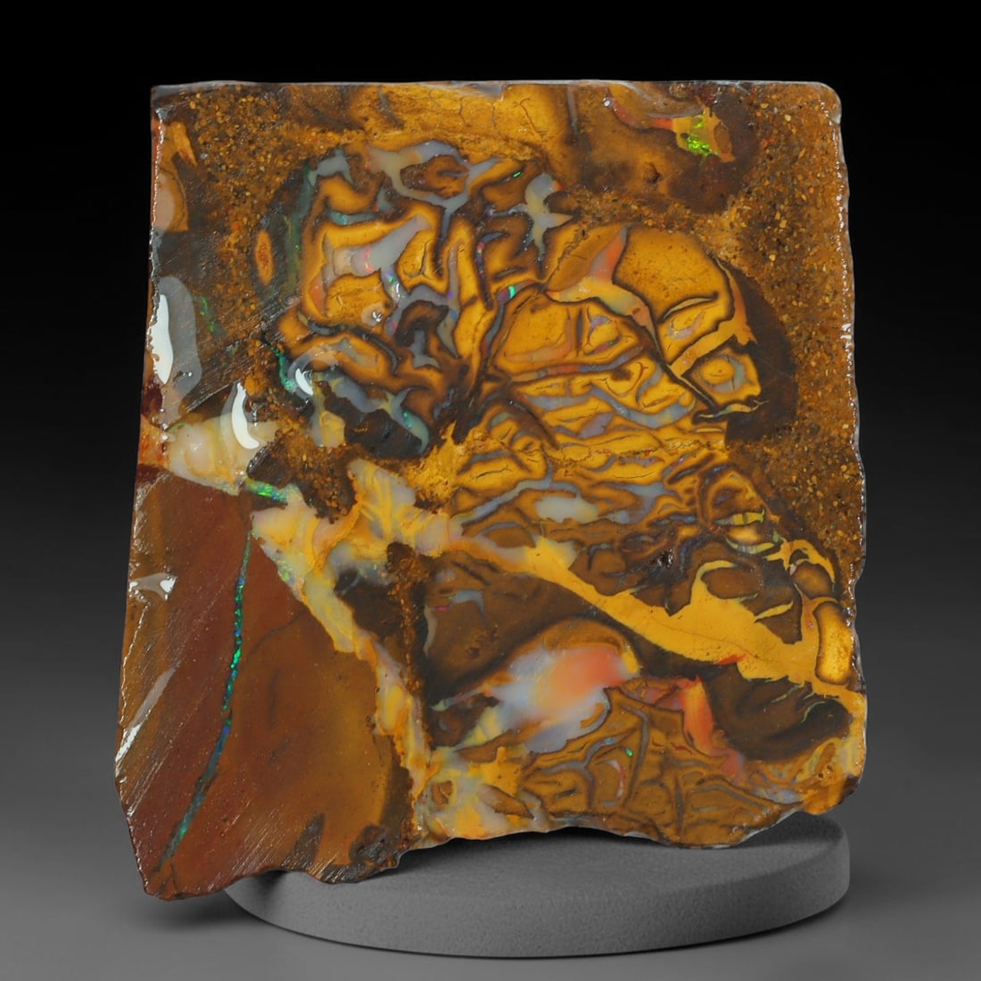 51.22ct Natural Australian Queensland Boulder Opal Sliced Slab Cutting Rough, 89AX: Natural sliced slab rough of Queensland boulder opal cutting grade, featuring rich color ironstone matrix with patterns. The face clearly reveals extensive opal veining and pocket formations running t