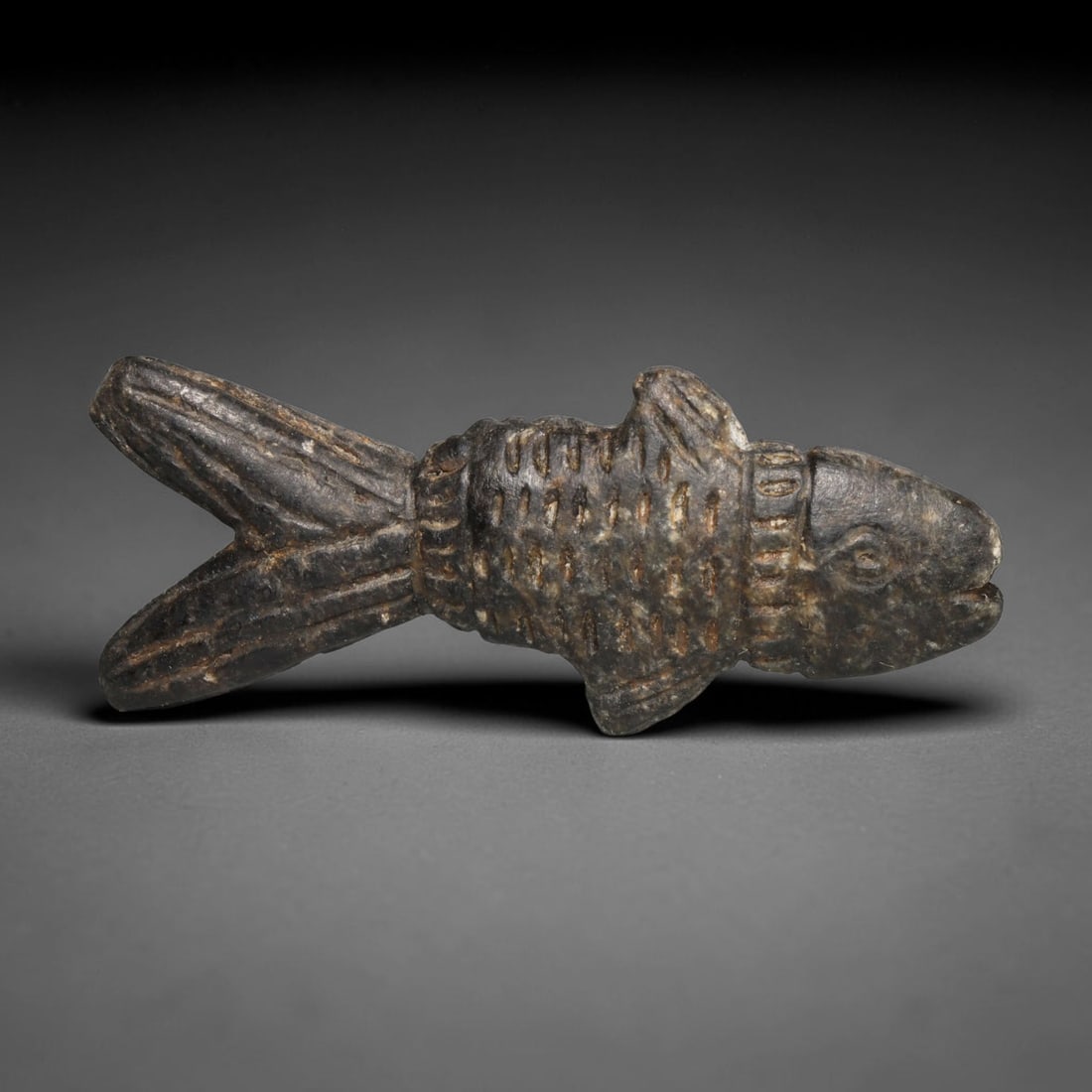 Ancient Medieval Early Islamic Period Dark Stone Zoomorphic Fish Amulet (c.7th-11th Century CE), 6ED: This pierced wearable talisman is carved from dark mottled stone in the form of a fish, detailed with incised markings representing scales and fins. Deep aged patina and gentle surface abrasion reflec