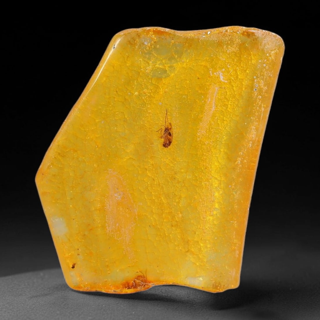 10.86ct Natural Baltic Polished Loose Freeform Amber Gemstone, 86FL (1 of 1)