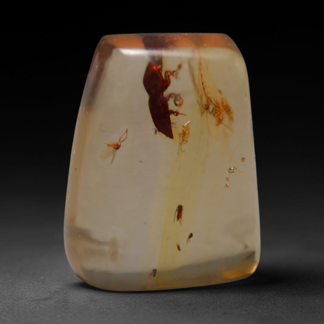 8.00ct Natural Baltic Amber Cabochon with Fossil Insect Inclusions Loose Gemstone, 65BY: This polished cabochon is genuine natural Baltic amber, featuring well-preserved fossilised ancient insect inclusions suspended within its warm golden-yellow resin matrix. Subtle organic plant debris 