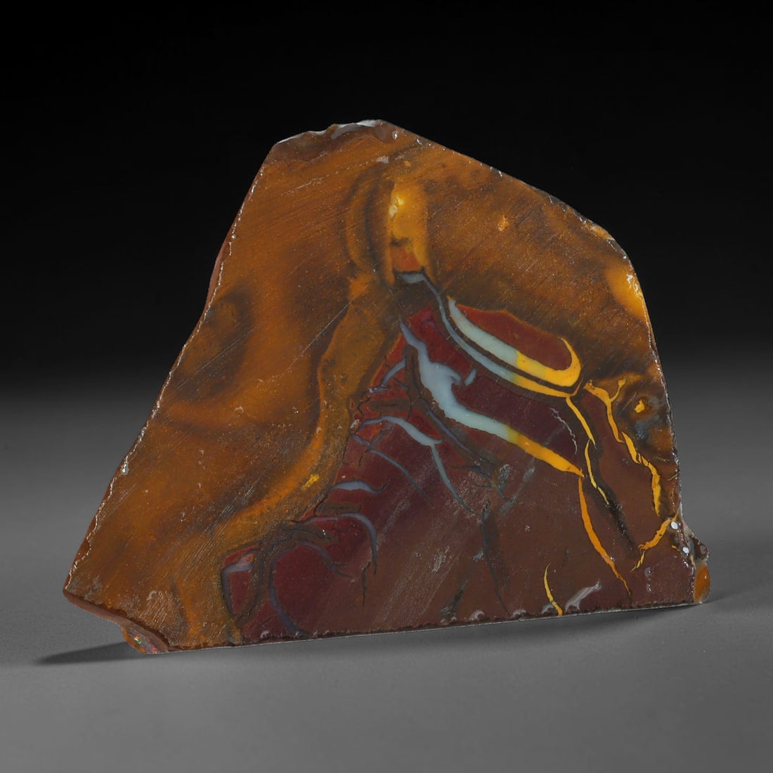 59.95ct Natural Australian Queensland Boulder Opal Sliced Slab Cutting Rough, 64AX: Natural sliced slab rough of Queensland boulder opal cutting grade, featuring rich color ironstone matrix with patterns. The face clearly reveals extensive opal veining and pocket formations running t