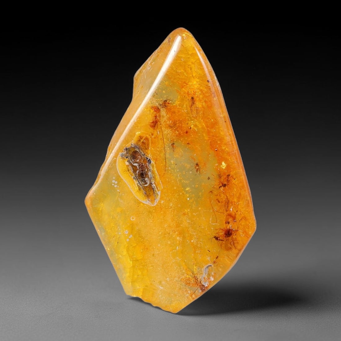 10.66ct Natural Baltic Polished Loose Freeform Amber Gemstone, 74FL: This smoothly polished freeform amber piece carries warm translucent organic clarity with fine natural fossil flecks and tiny mineral inclusions suspended throughout its 32x18x8mm flowing unstructured