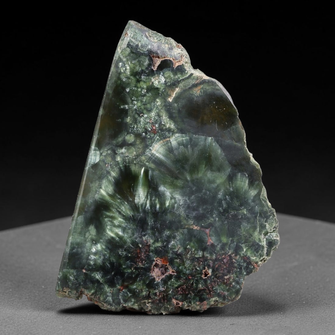 115ct Natural Siberian Seraphinite Polished Rough Slab, 65AR: This polished mineral slab is natural seraphinite originating from Siberian deposits, displaying characteristic radiating crystalline fibrous formations with layered deep forest and silvery green band
