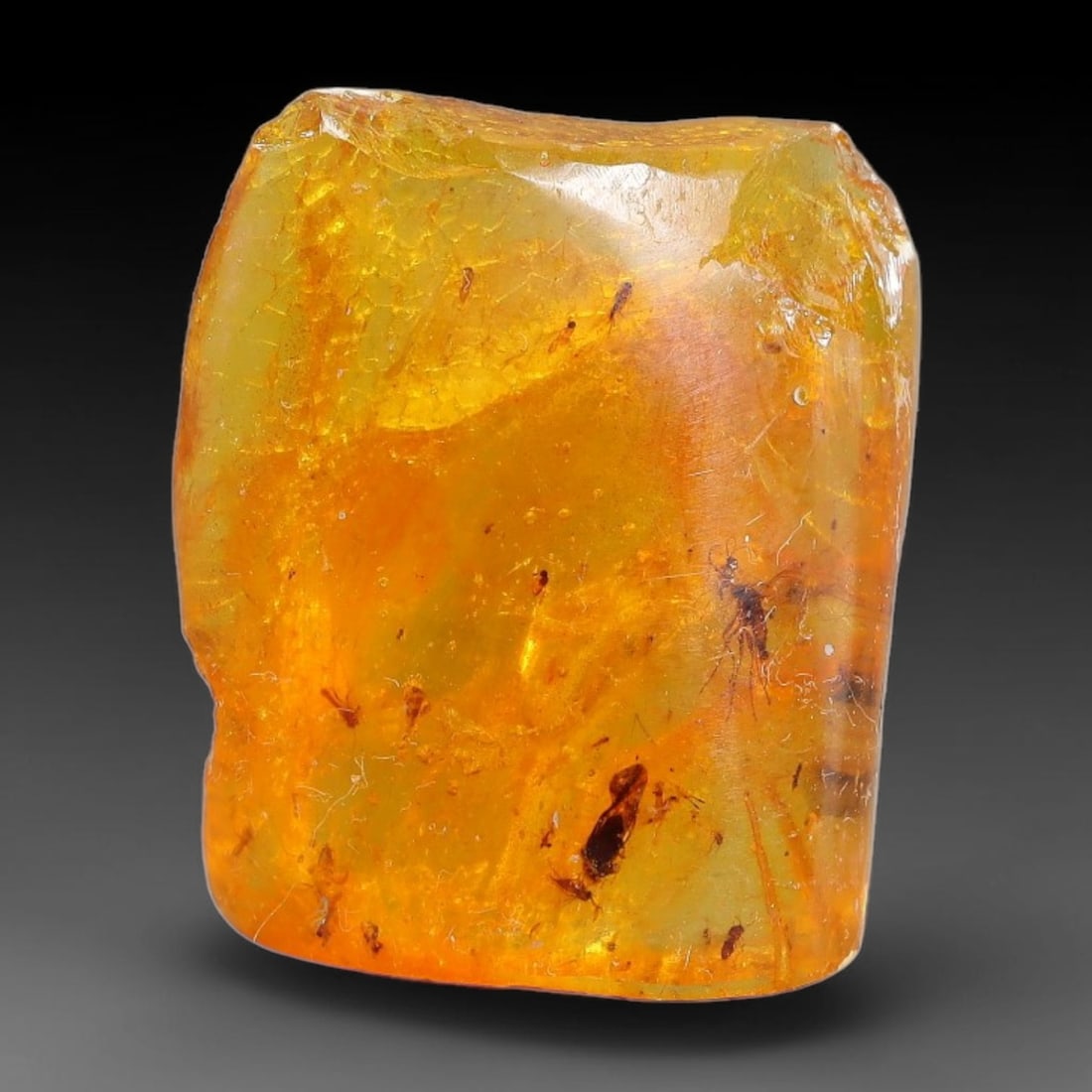 12.89ct Natural Baltic Polished Loose Freeform Amber Gemstone, 84FL: This smoothly polished freeform amber piece carries warm translucent organic clarity with fine natural fossil flecks and tiny mineral inclusions suspended throughout its 22x19x11mm flowing unstructure