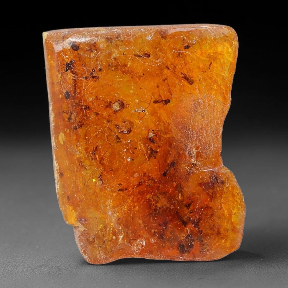 18.82ct Natural Baltic Polished Loose Freeform Amber Gemstone, 48EB: This smoothly polished freeform amber piece carries warm translucent organic clarity with fine natural fossil flecks and tiny mineral inclusions suspended throughout its 26x20mm flowing unstructured s