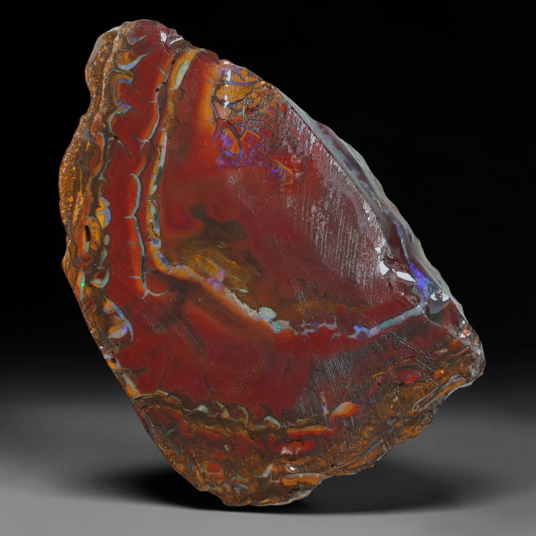 82.13ct Natural Australian Queensland Boulder Opal Sliced Slab Cutting Rough, 15AY: Natural sliced slab rough of Queensland boulder opal cutting grade, featuring rich color ironstone matrix with patterns. The face clearly reveals extensive opal veining and pocket formations running t