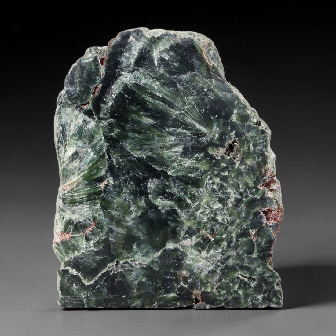230ct Natural Siberian Seraphinite Polished Rough Slab, 59AR: This polished mineral slab is natural seraphinite originating from Siberian deposits, displaying characteristic radiating crystalline fibrous formations with layered deep forest and silvery green band