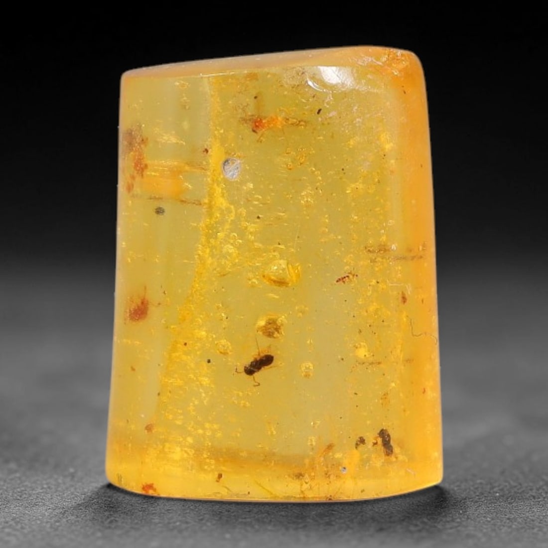 8.11ct Natural Baltic Polished Loose Freeform Amber Gemstone, 91FL (1 of 1)
