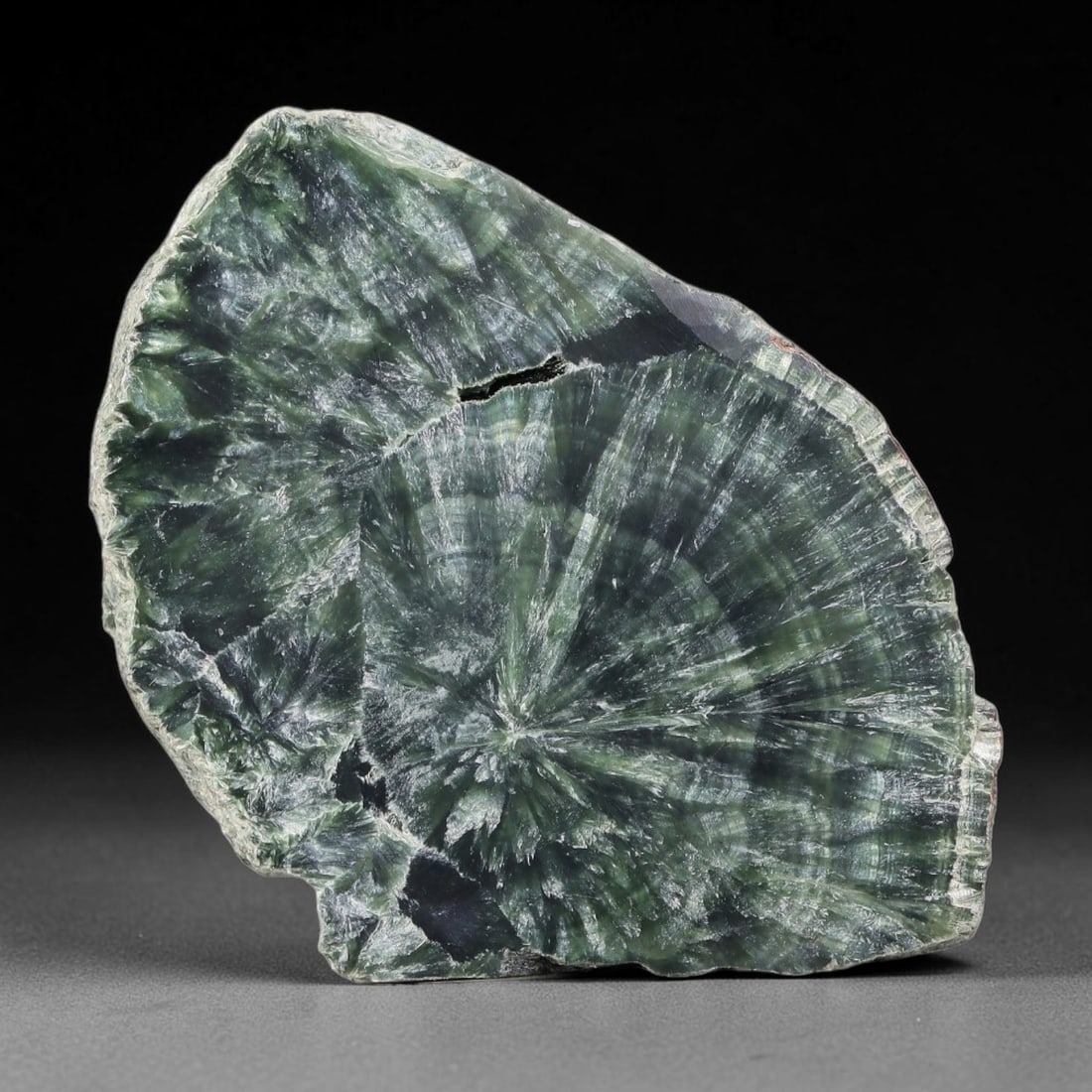 70ct Natural Siberian Seraphinite Polished Rough Slab, 41AR: This polished mineral slab is natural seraphinite originating from Siberian deposits, displaying characteristic radiating crystalline fibrous formations with layered deep forest and silvery green band