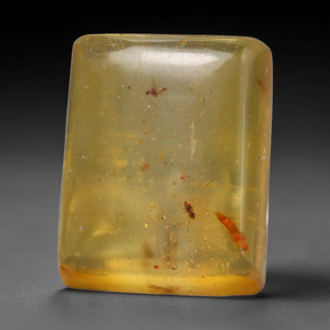 7.43ct Natural Baltic Amber Cabochon with Fossil Insect Inclusions Loose Gemstone, 29BY: This polished cabochon is genuine natural Baltic amber, featuring well-preserved fossilised ancient insect inclusions suspended within its warm golden-yellow resin matrix. Subtle organic plant debris 