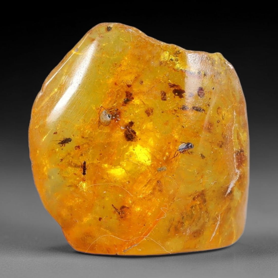 10.80ct Natural Baltic Polished Loose Freeform Amber Gemstone, 85FL: This smoothly polished freeform amber piece carries warm translucent organic clarity with fine natural fossil flecks and tiny mineral inclusions suspended throughout its 22x21x9mm flowing unstructured