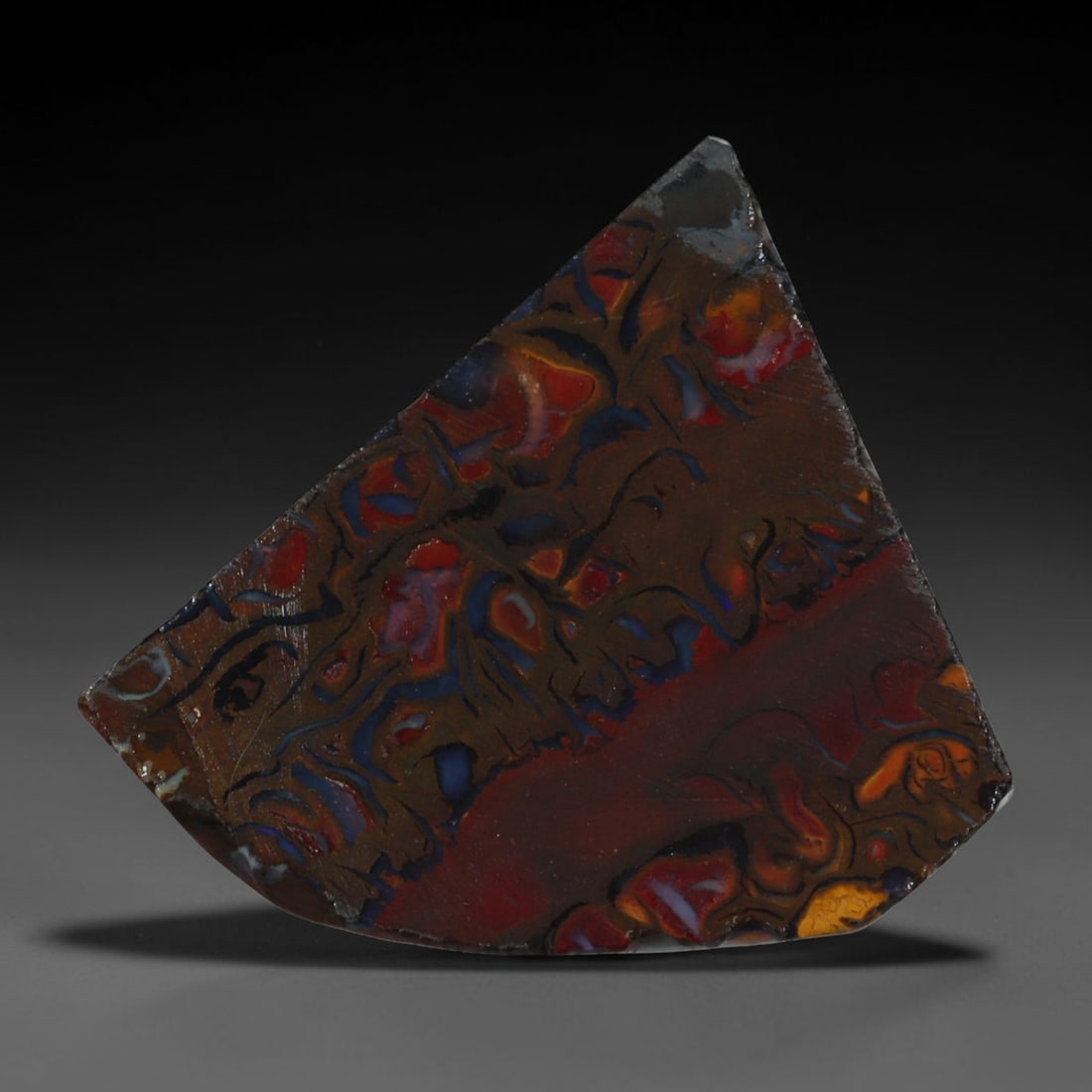 15.78ct Natural Australian Queensland Boulder Opal Sliced Slab Cutting Rough, 57AY: Natural sliced slab rough of Queensland boulder opal cutting grade, featuring rich color ironstone matrix with patterns. The face clearly reveals extensive opal veining and pocket formations running t