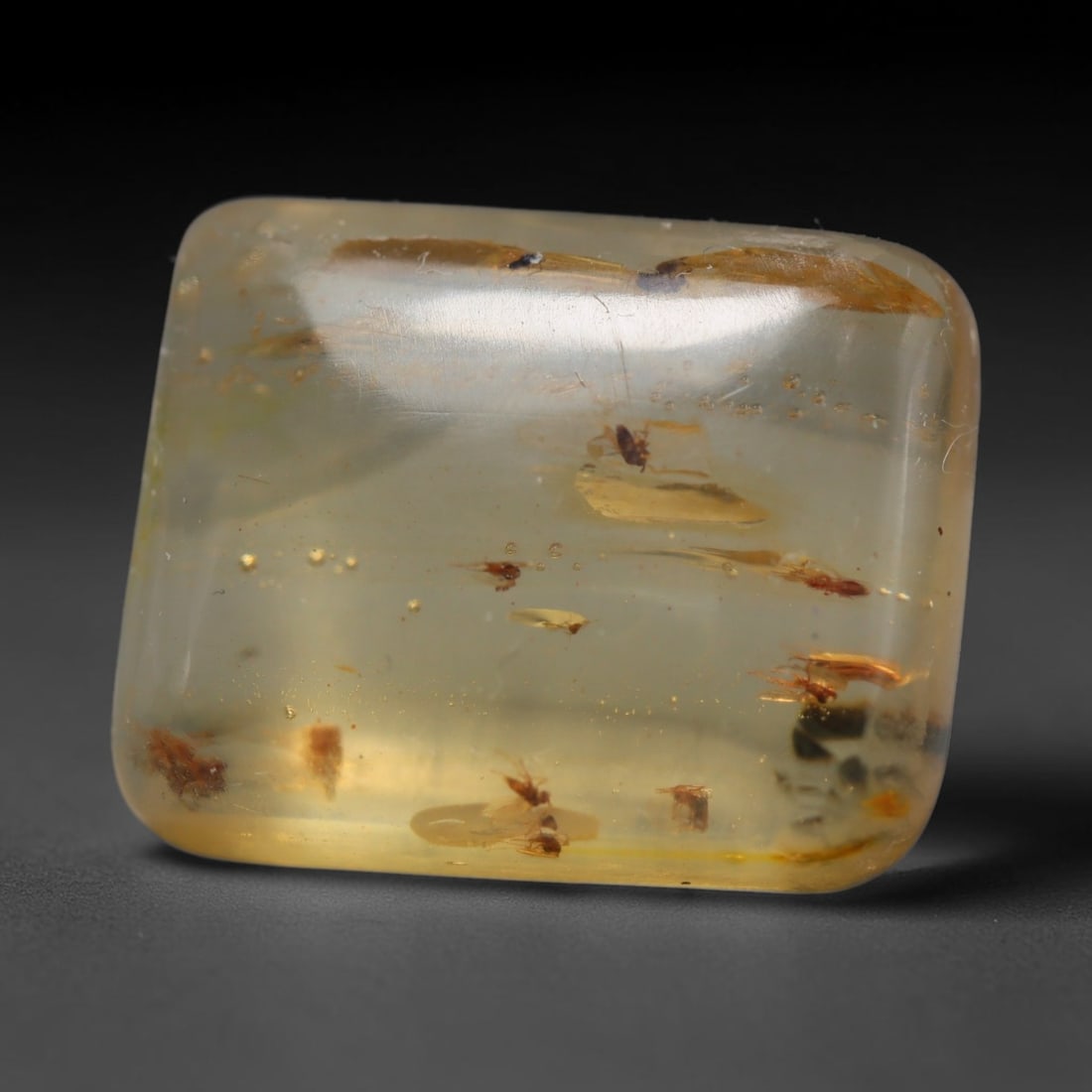 7.23ct Natural Baltic Amber Cabochon with Fossil Insect Inclusions Loose Gemstone, 48BY: This polished cabochon is genuine natural Baltic amber, featuring well-preserved fossilised ancient insect inclusions suspended within its warm golden-yellow resin matrix. Subtle organic plant debris 