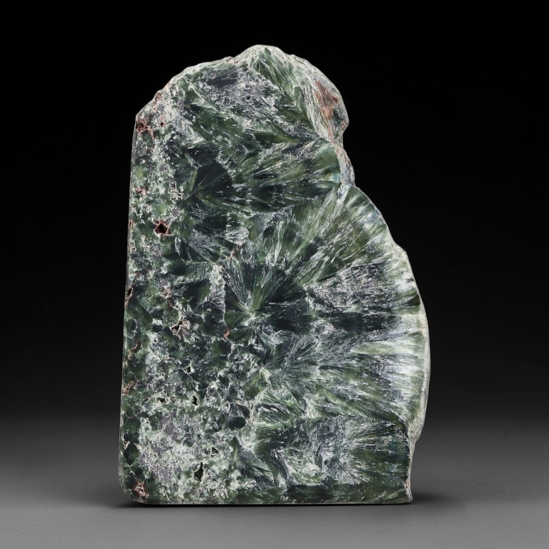 85ct Natural Siberian Seraphinite Polished Rough Slab, 35AR: This polished mineral slab is natural seraphinite originating from Siberian deposits, displaying characteristic radiating crystalline fibrous formations with layered deep forest and silvery green band