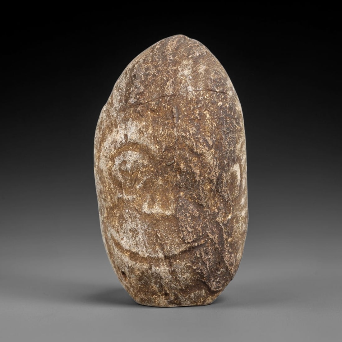 Ancient Medieval Near Eastern Stone Zoomorphic Head (600-1100 CE), 77EJ (1 of 1)