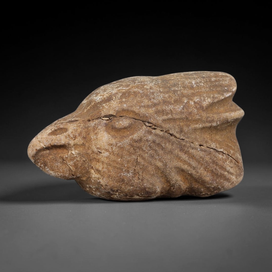 Ancient Medieval Near Eastern Stone Zoomorphic Head (600-1100 CE), 74EJ (1 of 1)