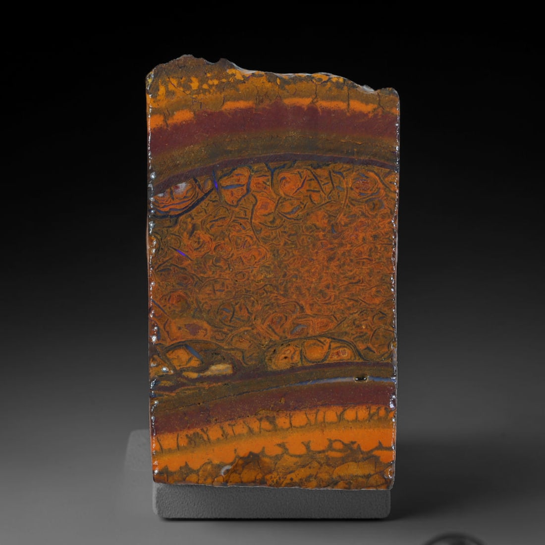 41.30ct Natural Australian Queensland Boulder Opal Sliced Slab Cutting Rough, 21AX: Natural sliced slab rough of Queensland boulder opal cutting grade, featuring rich color ironstone matrix with patterns. The face clearly reveals extensive opal veining and pocket formations running t